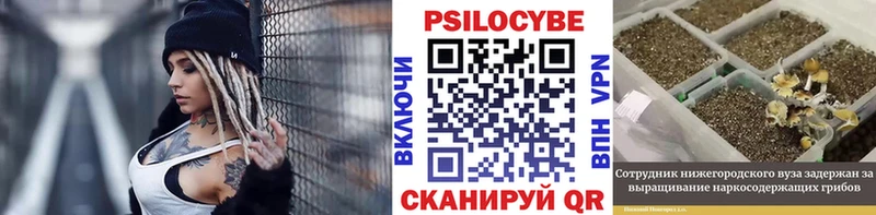 Псилоцибиновые грибы Psilocybe  Североуральск 