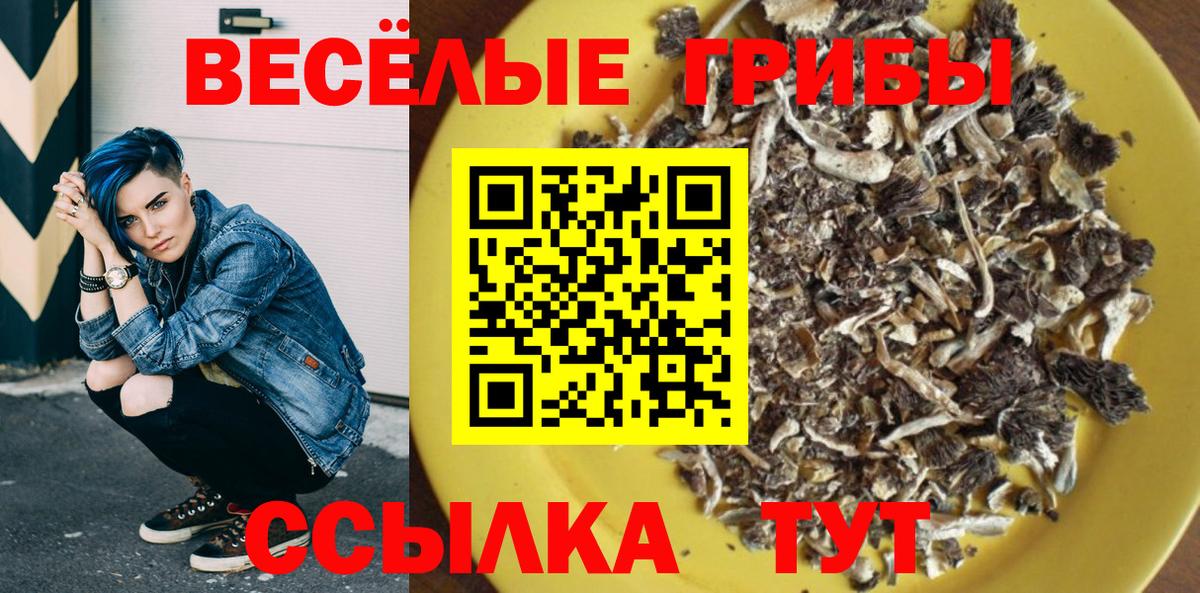 Галлюциногенные грибы Magic Shrooms Североуральск